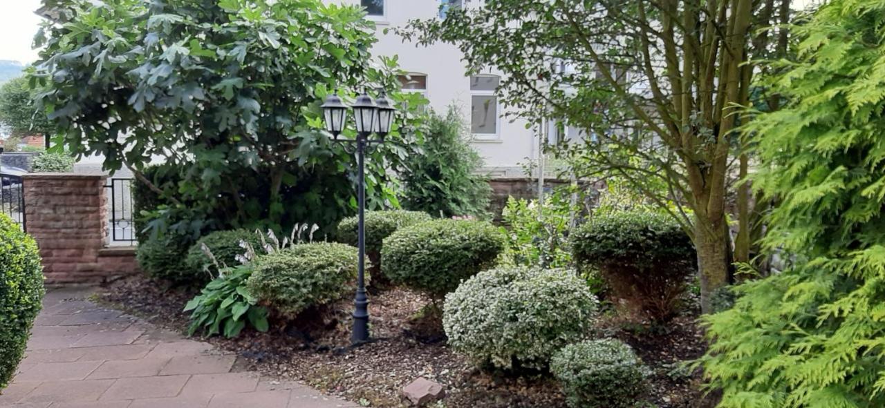 Hotel Carolinenhof バート・ピルモント エクステリア 写真